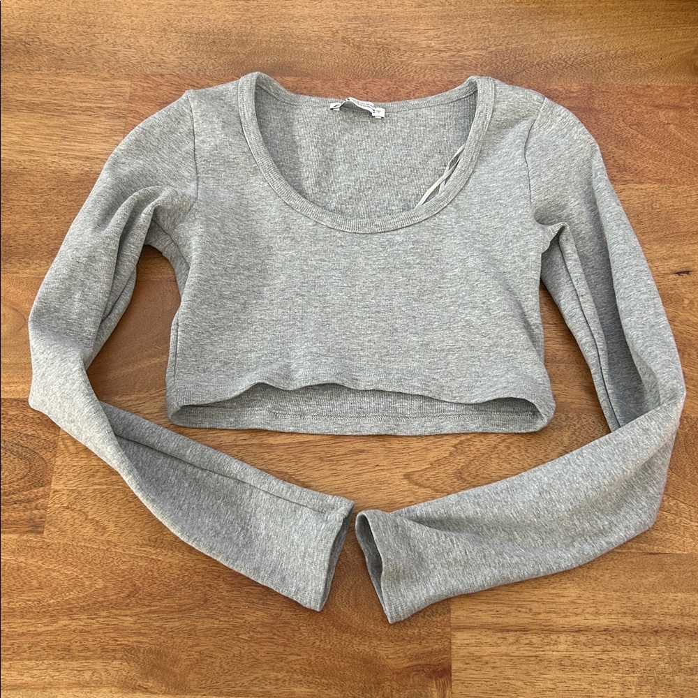 Zara Gray Long Sleeve Crop Top